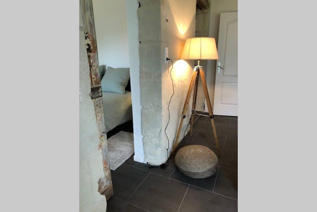 Le Logis De La Tour Saint Jacques Villa Chouzé-sur-Loire Kültér fotó
